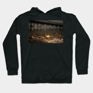 Seashell at Sea 3 Hoodie